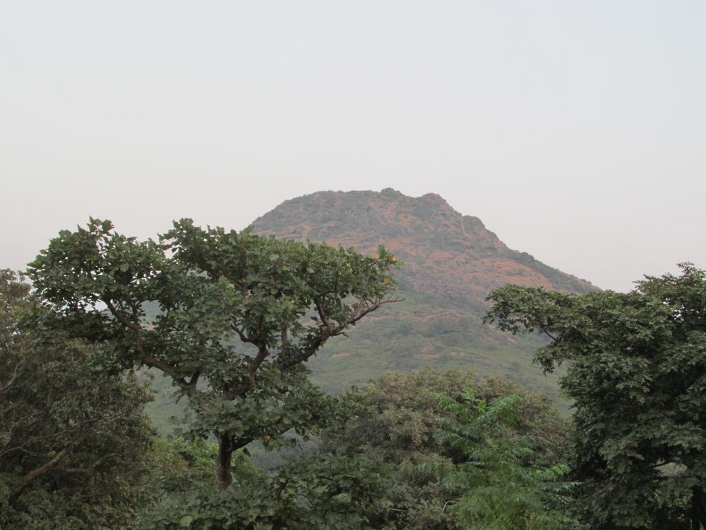 Forest Eco Lodge Ābu Exteriör bild