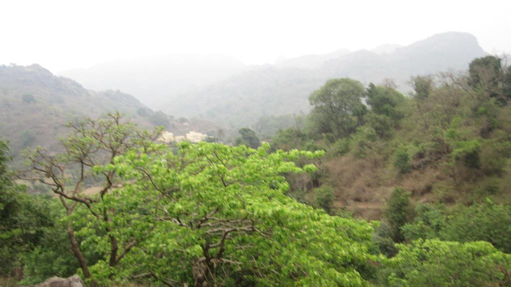 Forest Eco Lodge Ābu Exteriör bild