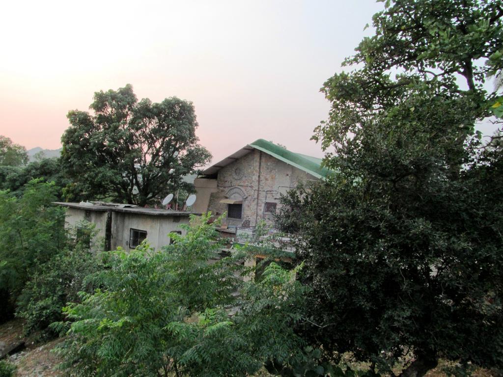 Forest Eco Lodge Ābu Exteriör bild